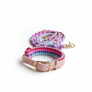 Paracord set vodítko+obojok Rainbow