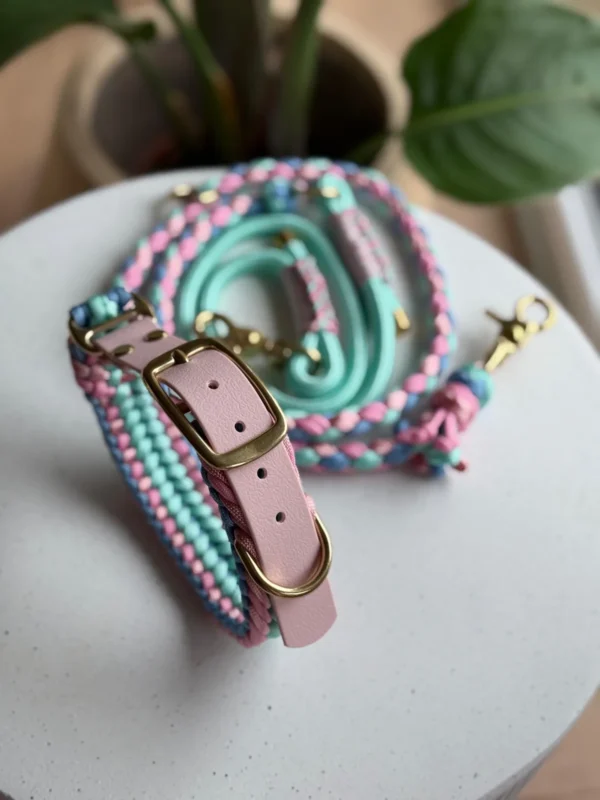 Paracord obojok | Minty