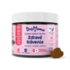 DogMama Zdravé trávenie + Probiotiká 270g ( 90ks )