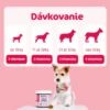 DogMama Zdravé trávenie + Probiotiká 270g ( 90ks )