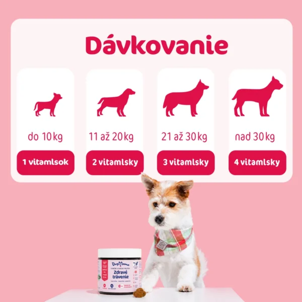 DogMama Zdravé trávenie + Probiotiká 270g ( 90ks )