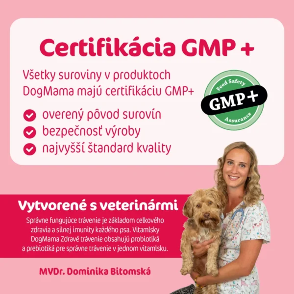 DogMama Zdravé trávenie + Probiotiká 270g ( 90ks )