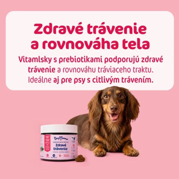 DogMama Zdravé trávenie + Probiotiká 270g ( 90ks )