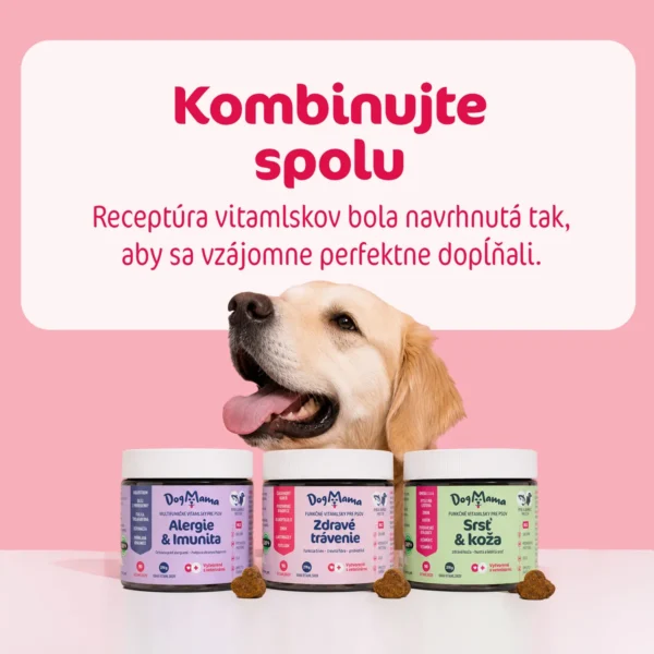 DogMama Zdravé trávenie + Probiotiká 270g ( 90ks )