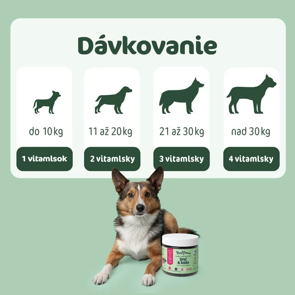 DogMama Srsť & Koža 270g ( 90ks )